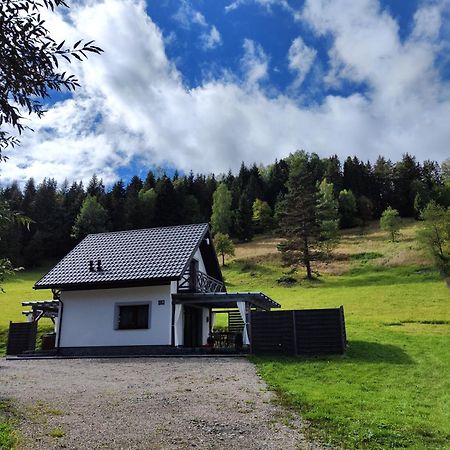 Lesny Zaulek Villa Muszyna Exteriör bild