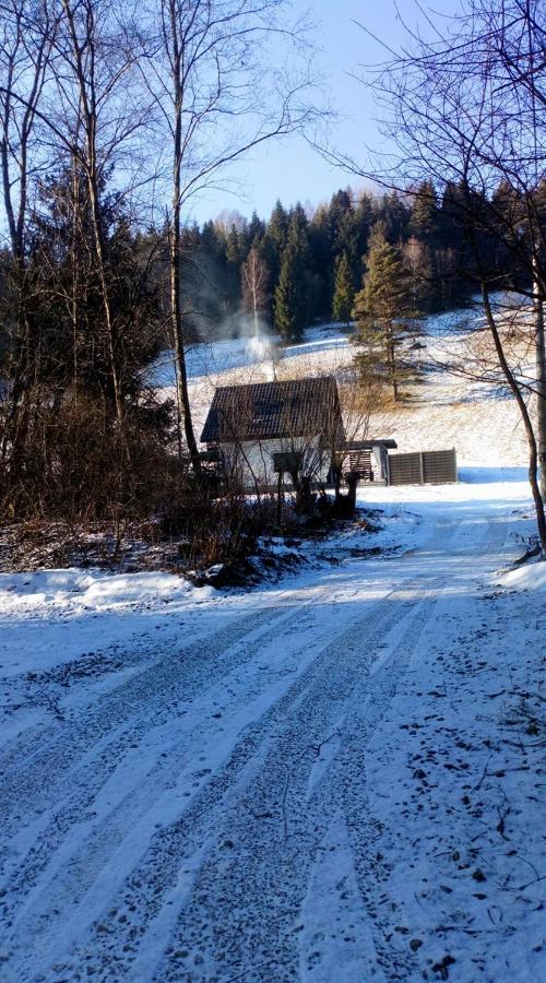 Lesny Zaulek Villa Muszyna Exteriör bild