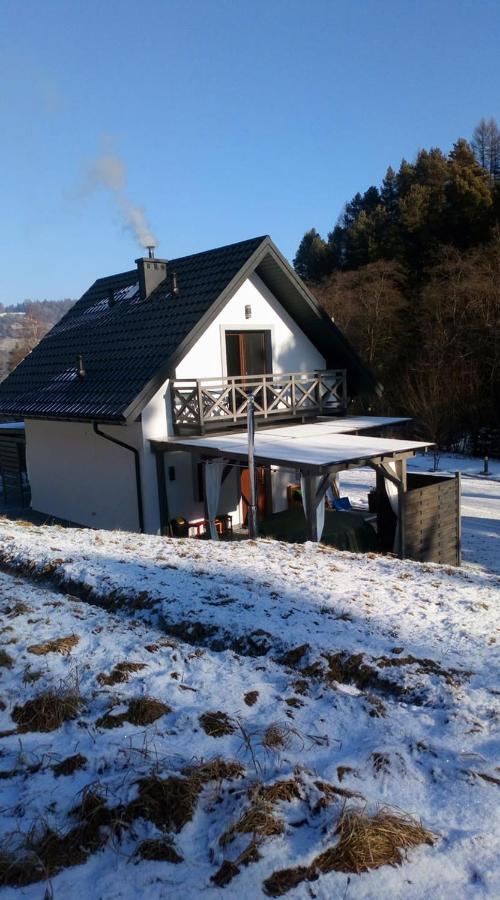 Lesny Zaulek Villa Muszyna Exteriör bild