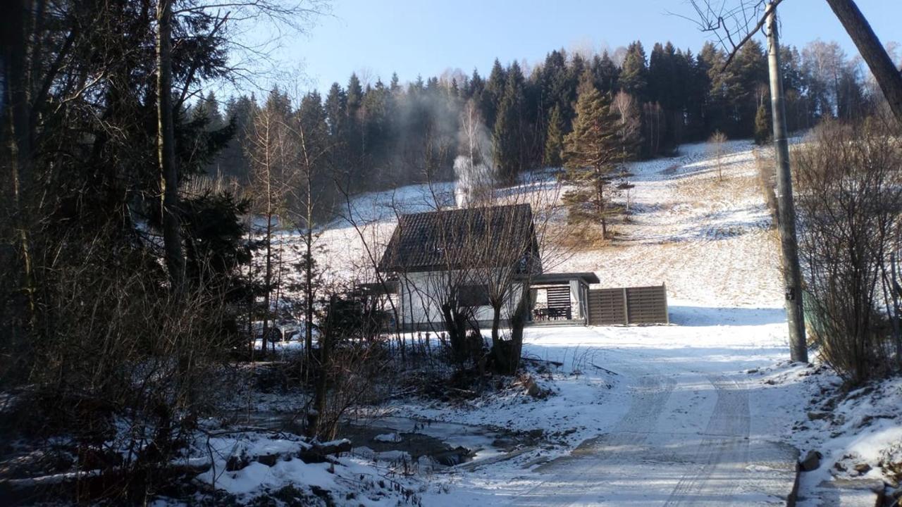 Lesny Zaulek Villa Muszyna Exteriör bild