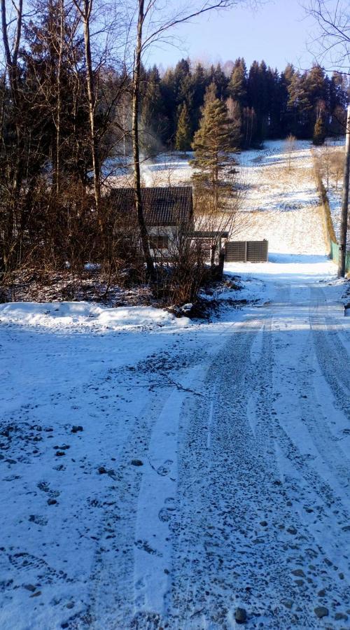 Lesny Zaulek Villa Muszyna Exteriör bild