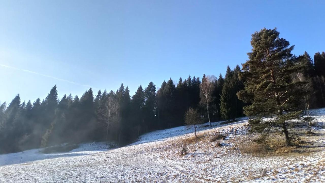 Lesny Zaulek Villa Muszyna Exteriör bild
