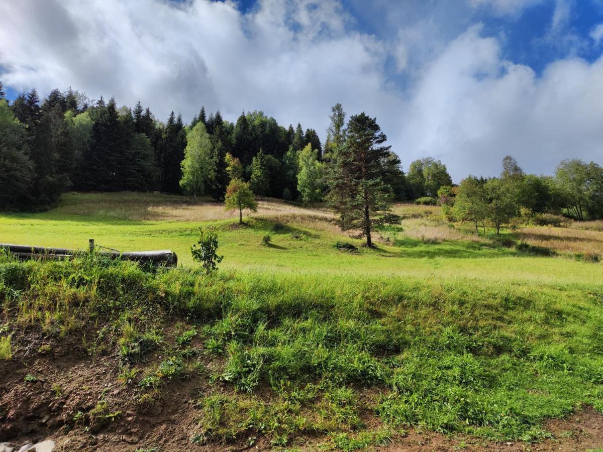 Lesny Zaulek Villa Muszyna Exteriör bild