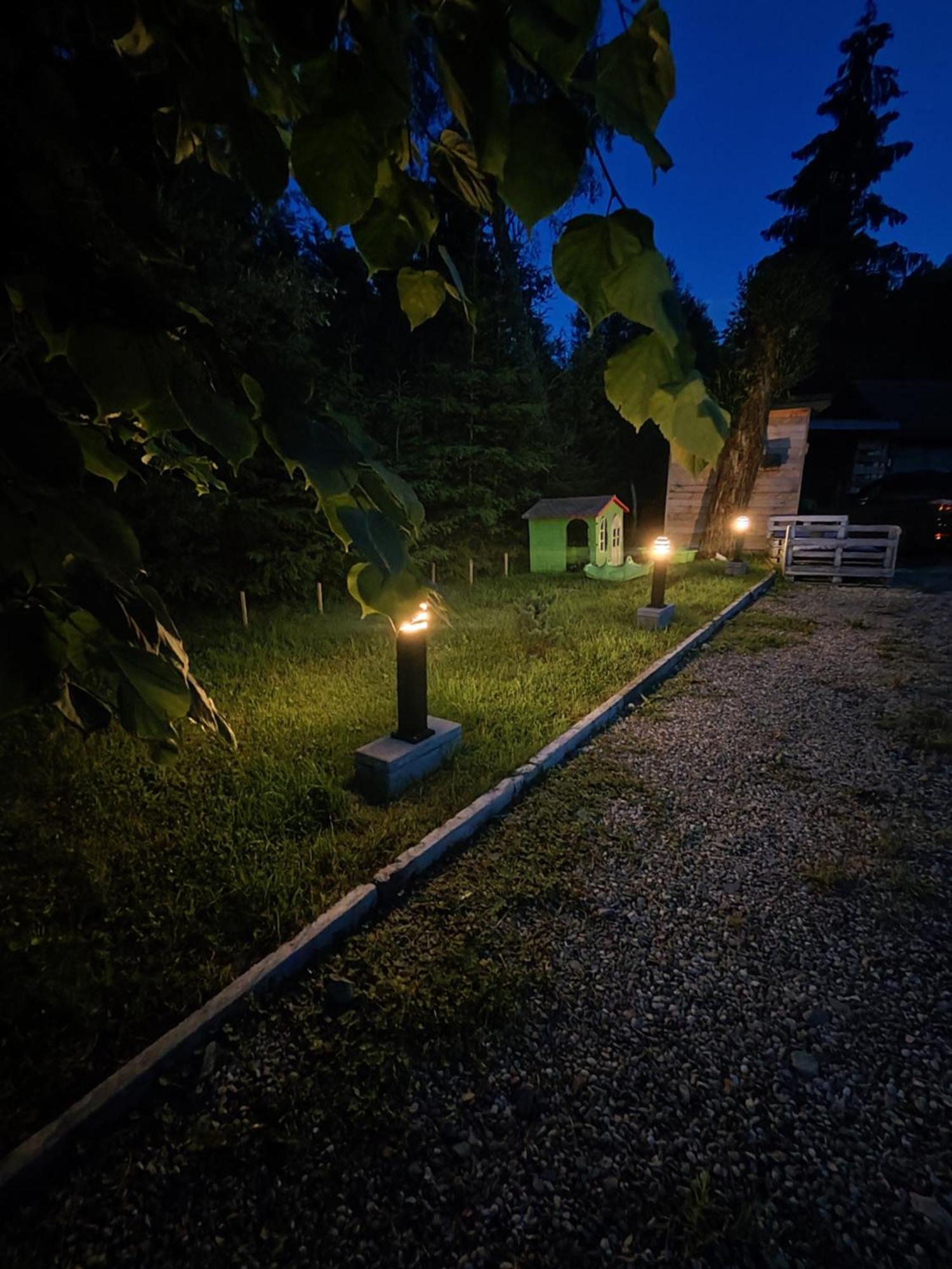 Lesny Zaulek Villa Muszyna Exteriör bild